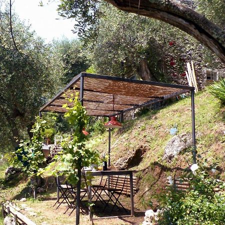 卡麦奥雷Il Giaggiolo别墅 外观 照片